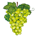 Sfizi Extra Dry Vermouth